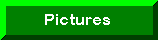 Pictures