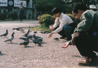 No.8 �㐙�_�� �肩��H�ׂ�������