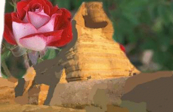 The Sphynx as a gif Image