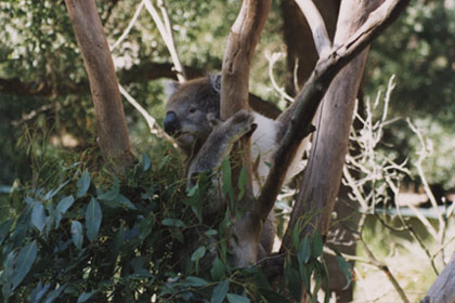 �L���� (27150 bytes)