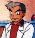 Professor Oak at a computer