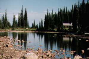 Near the Summit of Mount Revelstoke