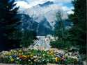Banff Avenue and Cascade Mountain