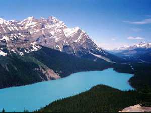 Peyto Lake