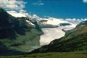 Saskatchewan Glacier