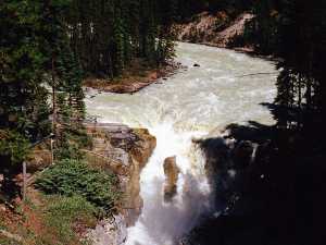 Sunwapta Falls